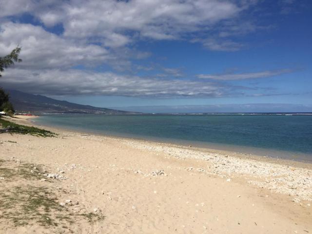 Villa De Charme Proche Plage Et Lagon La Saline Les Bains Eksteriør billede