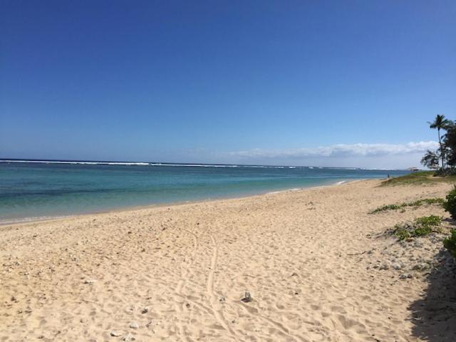 Villa De Charme Proche Plage Et Lagon La Saline Les Bains Eksteriør billede